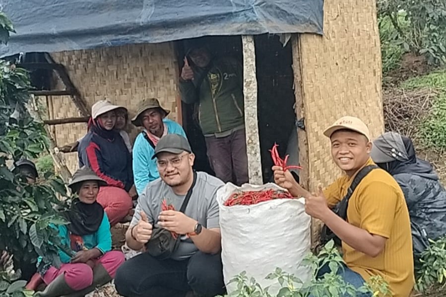 Team MBN Fresh Sourcing Cabai ke Cikajang, Garut